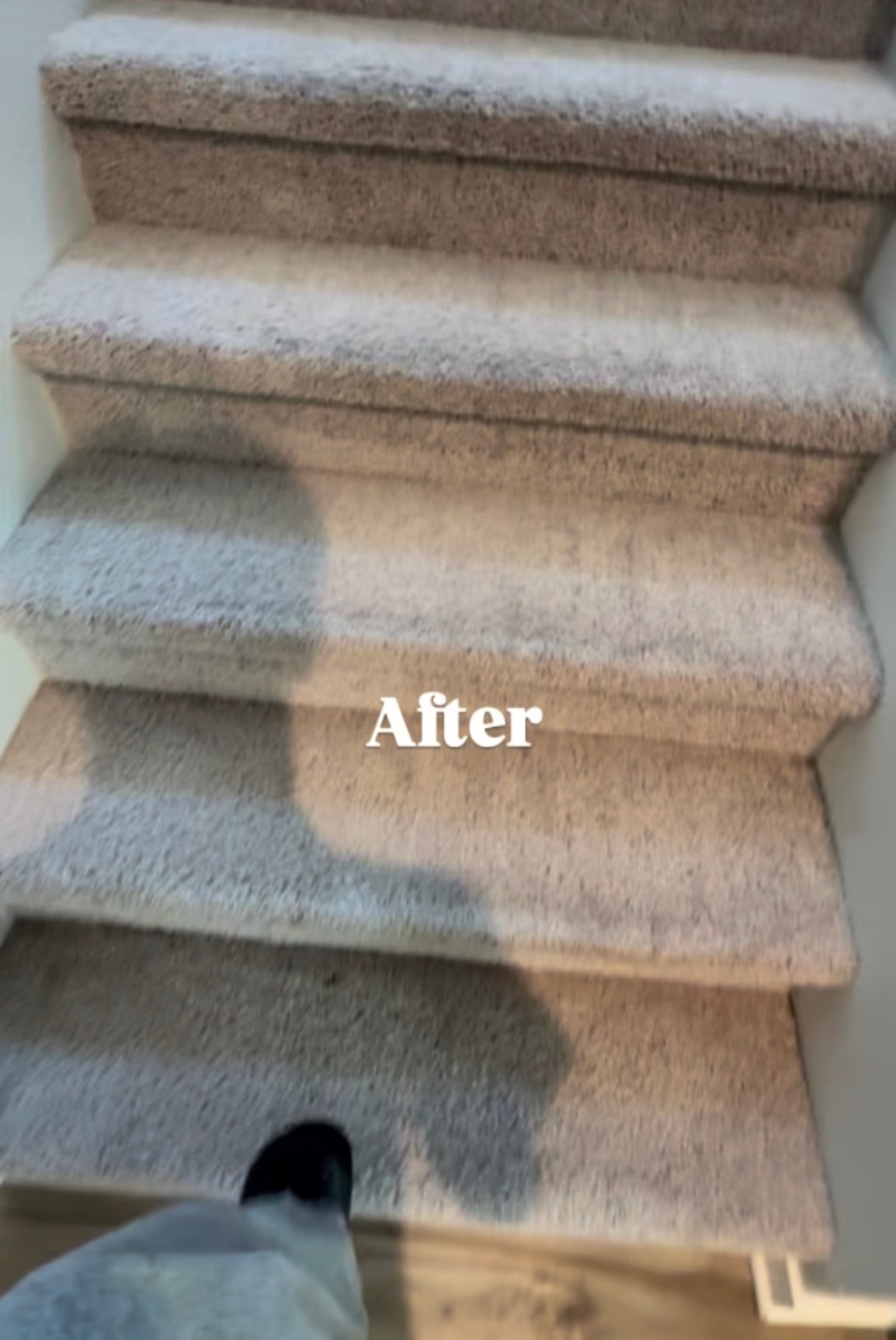After cleaning — Living Room Deep Clean