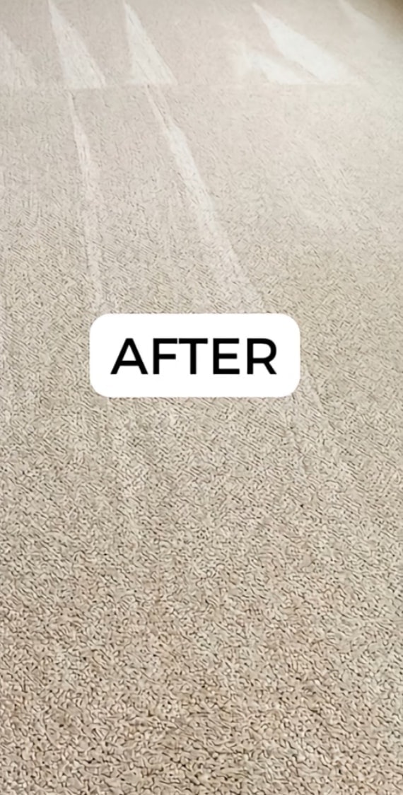 After cleaning — Bedroom Carpet Restoration