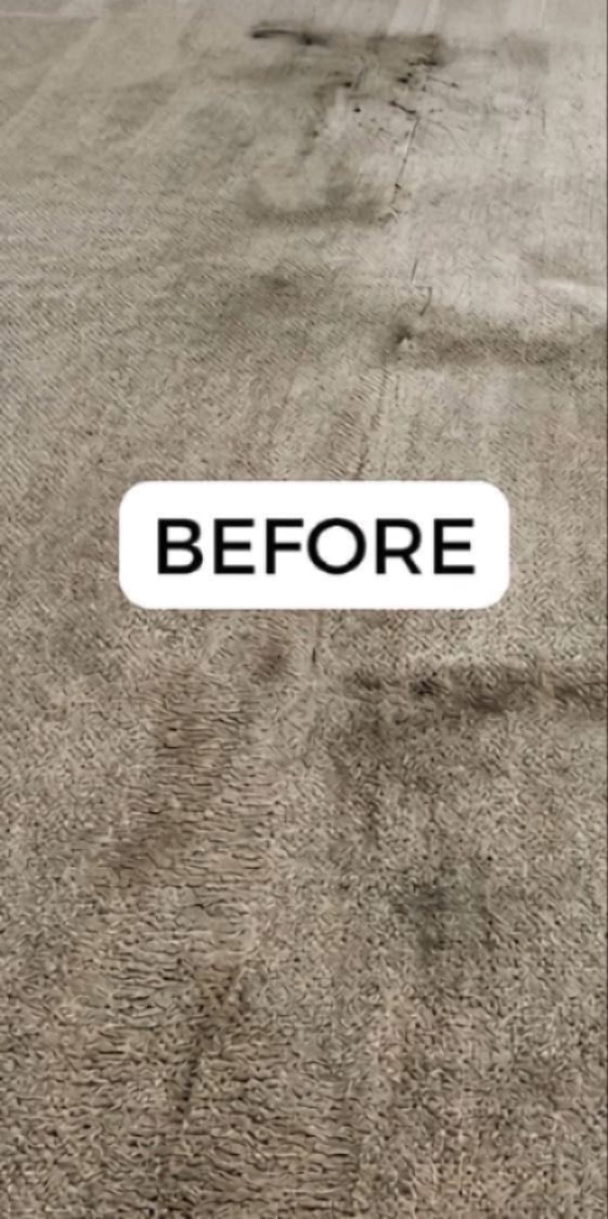 Before cleaning — Bedroom Carpet Restoration