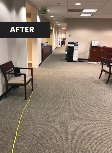 After cleaning — Office Carpet Cleaning